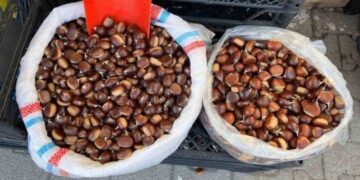 Sinop kestanesinin tezgahlarda fiyatı belli oldu!