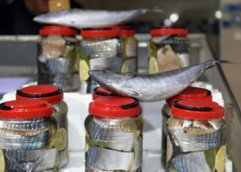 Sinop’ta 3004 yıllık geleneksel Lakerda Festivali yapılacak