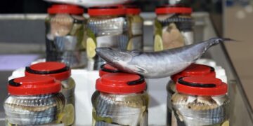 Sinop’ta 3004 yıllık geleneksel Lakerda Festivali yapılacak