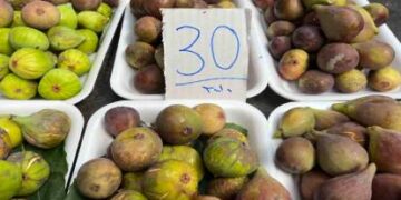 Sinop’taki pazar tezgahlarında incir bereketi!