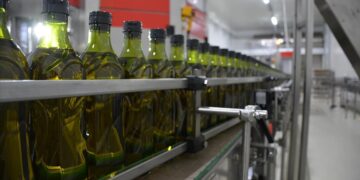 Zeytinyağı ihracat kısıtlamaları uzatıldı