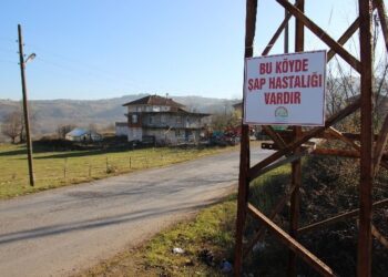 Zonguldak’ta şap hastalığı alarmı!