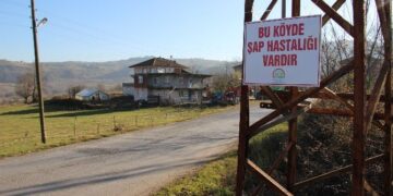 Zonguldak’ta şap hastalığı alarmı!