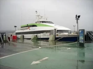 29 Kasım İDO - BUDO ve Şehir Hatları iptal olan seferler IDO BUDO ve Sehir Hatlari2 habermeydan