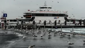 İDO ve BUDO'dan sefer iptalleri IDO ve BUDOdan sefer iptalleri2 habermeydan