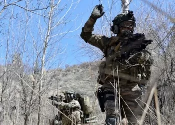 MİT terör örgütü Ayşe Arslan’ı etkisiz hale getirdi