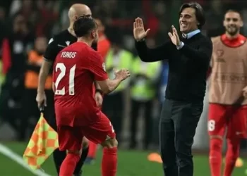 A Milli Takım’ın aday kadrosu açıklandı!