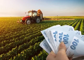 Resmi Gazete’de paylaşıldı: Çiftçilere mazot ve gübre desteği!