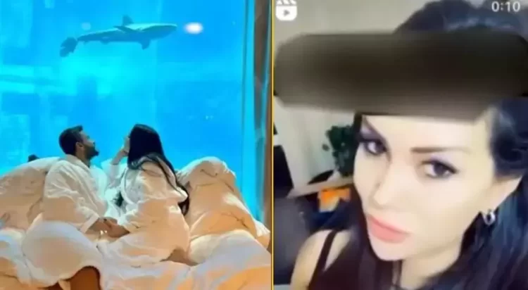 dilan polat iddia habermeydan