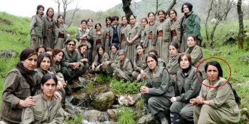 MİT’ten nokta operasyonu