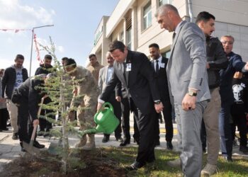 Muş Bulanık’ta fidan dikimi