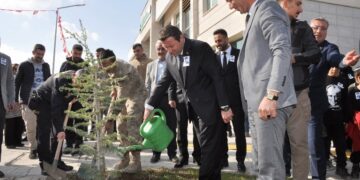 Muş Bulanık’ta fidan dikimi