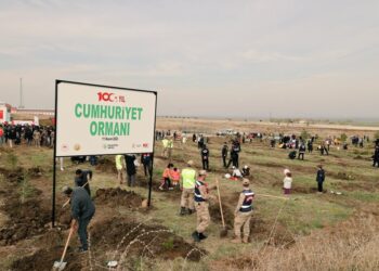 Muş’ta 100. yıl Cumhuriyet Ormanı’nda fidan dikimi yapıldı