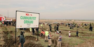 Muş’ta 100. yıl Cumhuriyet Ormanı’nda fidan dikimi yapıldı