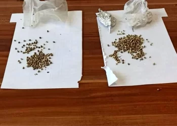 Muş’ta DGH üyesi uyuşturucuyla yakalandı!
