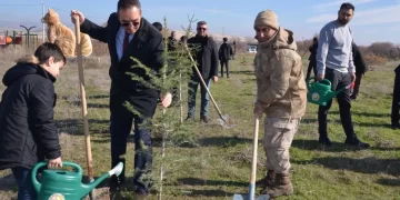 Muş’ta Öğretmenler günü kapsamında 100. yıl eğitim ormanı oluşturuldu