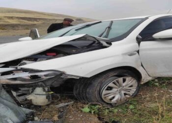 Muş’ta otomobil aydınlatma direğine çarptı!