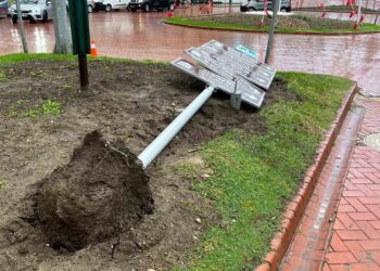 Sinop’ta etkili olan fırtınada tabelalar ve ağaçlar devrildi