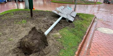 Sinop’ta etkili olan fırtınada tabelalar ve ağaçlar devrildi