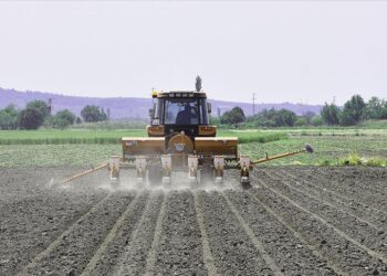Tarımsal destek ödemeleri bugün banka hesaplarına yatırılıyor