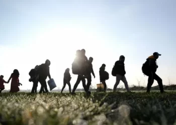 192 Göçmen Kaçakçılığı Organizatörü ve 4 Bin 568 Düzensiz Göçmen Yakalandı