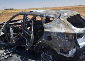 YPG’nin sözde Ayn El Arab sorumlusu Bahoz Afrin etkisiz hale getirildi