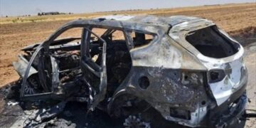 YPG’nin sözde Ayn El Arab sorumlusu Bahoz Afrin etkisiz hale getirildi