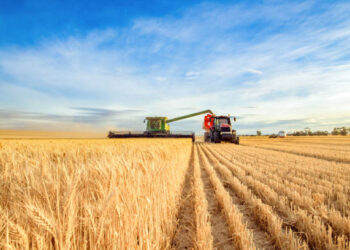 Gelir koruma sigortası tüm ülkede uygulanabilecek