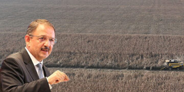 Bakan Özhaseki duyurdu! Hazineye ait 1,3 milyar metrekare tarım arazisi çiftçilere kiralandı