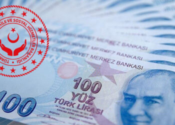 Türkiye Aile Destek Programı ödemeleri hesaplara yatırılıyor