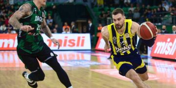 Fenerbahçe Beko, Darüşşafaka Lassa’ya fark attı!