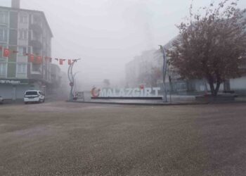 Muş Malazgirt’te sis etkili oldu!