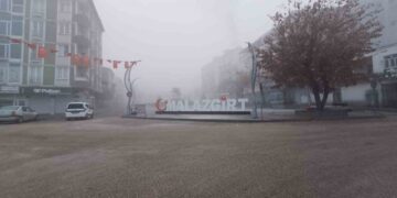 Muş Malazgirt’te sis etkili oldu!