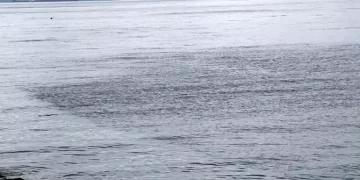 Marmara Denizi’nde deprem sonrası köpükleşme!