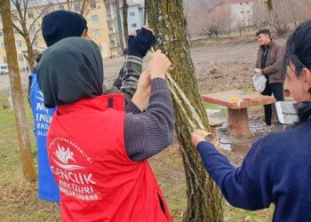 Muş’ta gençler sokak hayvanları için doğaya yem bıraktı