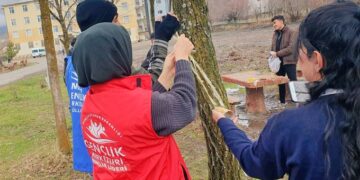 Muş’ta gençler sokak hayvanları için doğaya yem bıraktı