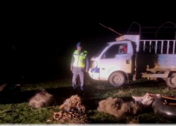 Muş’ta kaçak balık avına idari para cezası!