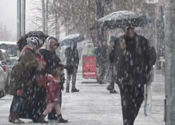Muş’ta kar yağışı 10 köy yolunu ulaşıma kapadı!