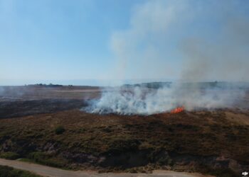 Sinop Adabaşı mevkiinde ot yangını!