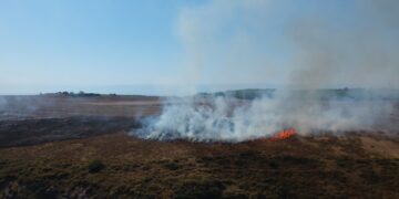 Sinop Adabaşı mevkiinde ot yangını!