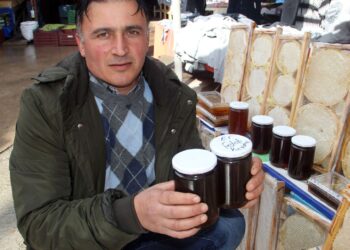 Sinop’ta kestane balı fiyatları cep yakıyor!