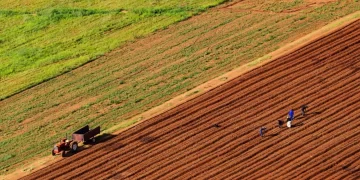 Sudan’daki Türk tarım şirketi kapatılıyor