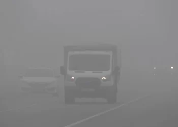 Yoğun sis Muş’ta etkili oldu!