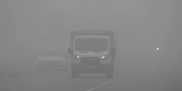 Yoğun sis Muş’ta etkili oldu!