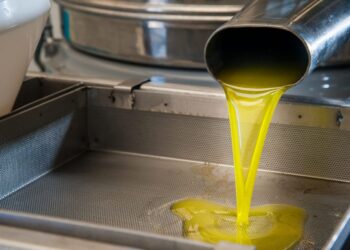 Bakan Yumaklı açıkladı: Zeytinyağı üretim ve satış merkezlerini denetlemeye başladık