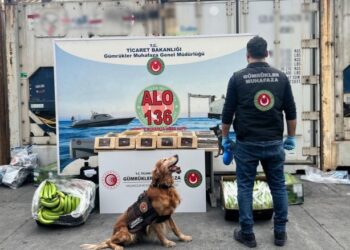 Mersin Limanı’nda 120 milyon değerinde 77 kilogram kokain ele geçirildi