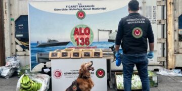 Mersin Limanı’nda 120 milyon değerinde 77 kilogram kokain ele geçirildi