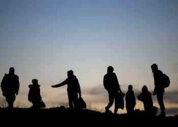 27 ilde kaçak göçmen operasyonu gerçekleştirildi