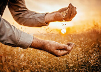 Tarımsal destekleme ödemesi hesaplara aktarıldı