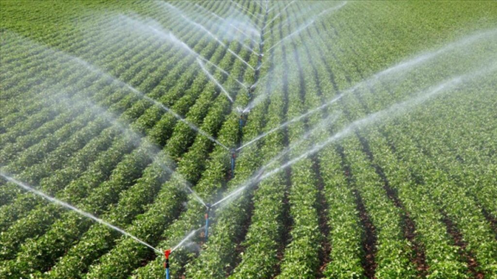 Bireysel sulama sistemlerine sağlanan hibelerde limit 3 milyon TL'ye yükseltildi bireysel sulama habermeydan